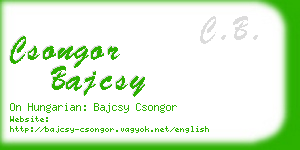 csongor bajcsy business card